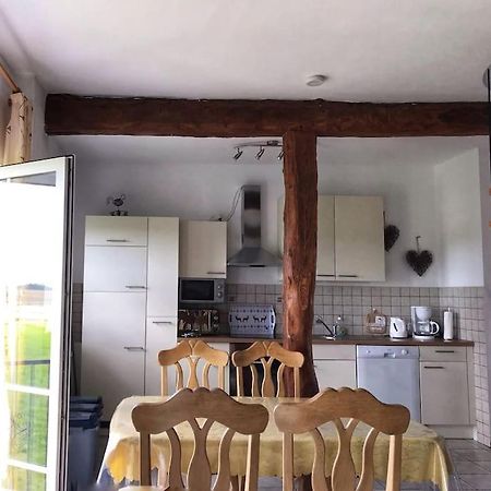 Obergeschosswohnung Mit Ausblick 멕헤르니흐 외부 사진